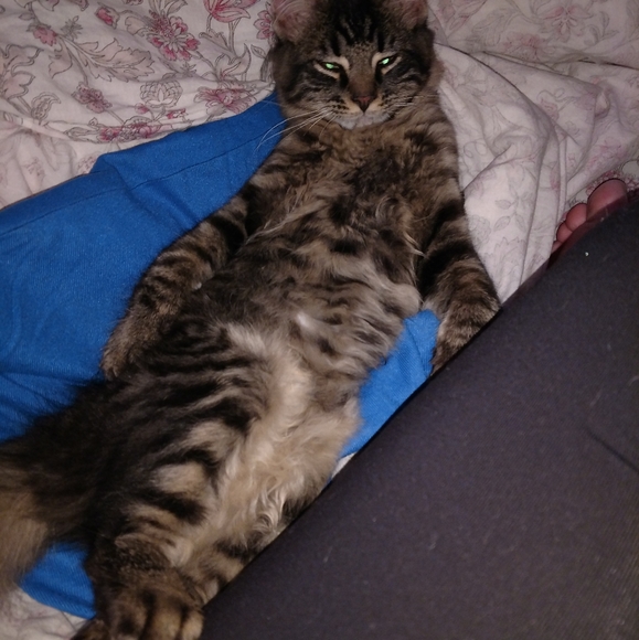 Meet your Posher, Kiersten - Picture 11 of 11